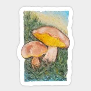 Boletus Edulis Sticker